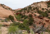 P1060371.jpg P1060371.jpg