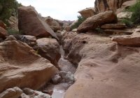 P1060579.jpg P1060579.jpg