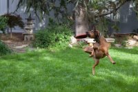 IMG_3398.jpg IMG_3398.jpg