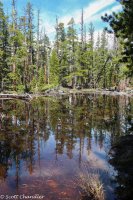 Darton Ridge 002.jpg