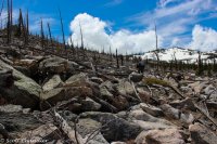 Darton Ridge 015.jpg