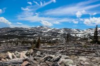 Darton Ridge 021.jpg