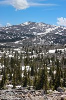 Darton Ridge 023.jpg