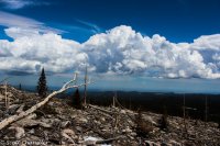 Darton Ridge 026.jpg