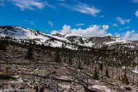 Darton Ridge 027.jpg