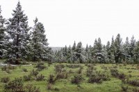 Circle Park 6.8 002.jpg