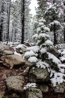 Circle Park 6.8 003.jpg