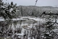 Circle Park 6.8 006.jpg