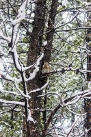 Circle Park 6.8 009.jpg