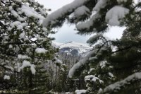 Circle Park 6.8 012.jpg