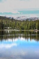 Circle Park 6.8 016.jpg