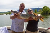 pineview-8.jpg