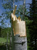 P1000840.JPG P1000840.JPG