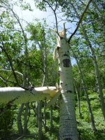 P1000842.JPG P1000842.JPG