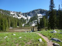 P1000844.JPG P1000844.JPG