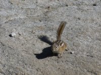 P1000849.JPG P1000849.JPG