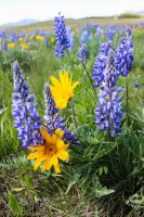 6.21 Schoolhouse-Buffalo Park Loop 002.jpg