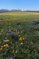 6.21 Schoolhouse-Buffalo Park Loop 006.jpg