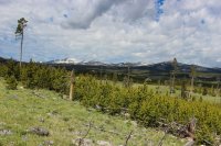 6.21 Schoolhouse-Buffalo Park Loop 012.jpg