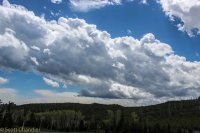 6.21 Schoolhouse-Buffalo Park Loop 020.jpg