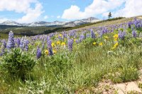 6.21 Schoolhouse-Buffalo Park Loop 025.jpg