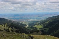 Grouse Mt Meadow 027.jpg