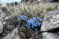 Hazelton Peak 010.jpg