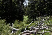 Hazelton Peak 027.jpg