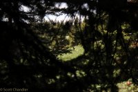 Hazelton Peak 028.jpg