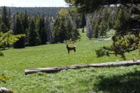 Hazelton Peak 031.jpg