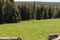 Hazelton Peak 033.jpg