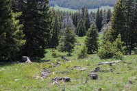 Hazelton Peak 034.jpg