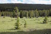 Tour 2-East Side 016.jpg