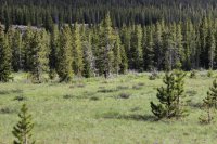 Tour 2-East Side 017.jpg