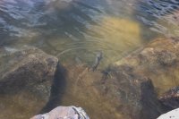 Tour 2-East Side 078.jpg