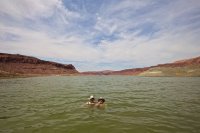 lake-powell-july-18.jpg lake-powell-july-18.jpg