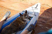 lake-powell-july-20.jpg lake-powell-july-20.jpg