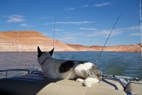 lake-powell-july-28.jpg lake-powell-july-28.jpg