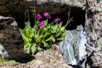 Tour 3- West Side 068.jpg