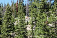 Tour 4- North Side 065.jpg Tour 4- North Side 065.jpg