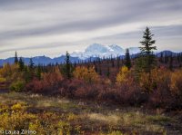 Denali in Fall.jpg Denali in Fall.jpg