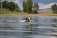 pineview-8.jpg pineview-8.jpg