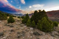 IMG_0219.jpg IMG_0219.jpg