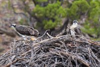 _MG_4995.jpg _MG_4995.jpg