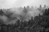 _MG_5148.jpg _MG_5148.jpg