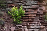 _MG_5215.jpg _MG_5215.jpg