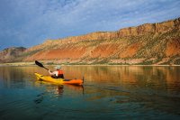 _MG_0495.jpg _MG_0495.jpg