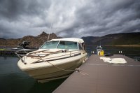 _MG_5034.jpg _MG_5034.jpg