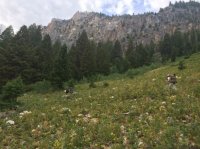 4 hiking.JPG 4 hiking.JPG