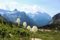 Glacier \'14-118.jpg